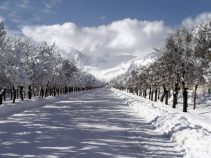 جاذبه های گردشگری هفشجان