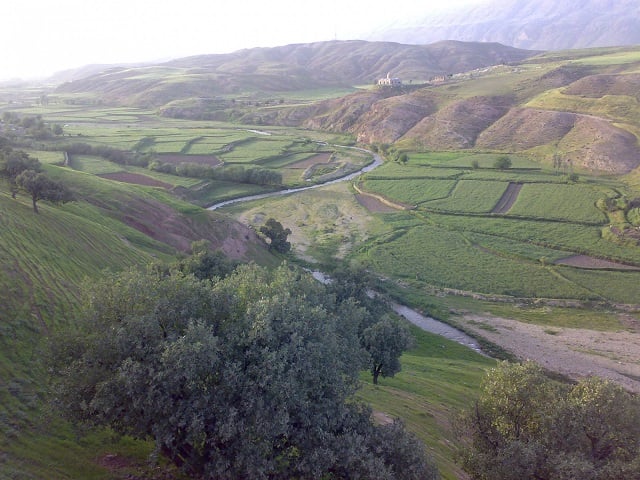 لومار
