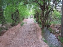 آشنایی با شهرستان خاوران- استان فارس