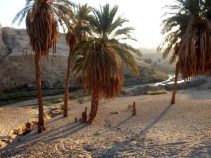 بهترین جاهای دیدنی گلباف
