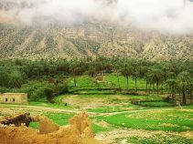 جاذبه های انارستان، طبیعت بکر و زیبای انارستان