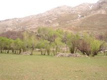 جاذبه های دیدنی سجاس، طبیعت گردی در سجاس