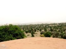 جاذبه های دیدنی شهرستان الوان