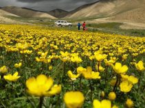 جاذبه های دیدنی و زیبای کهن آباد