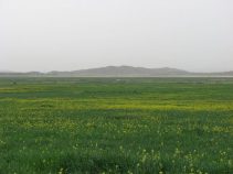 جاذبه های شهر نوجین-استان فارس
