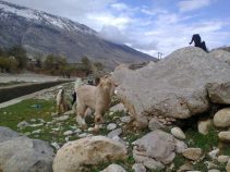 جاذبه های شهر گراب سفلی