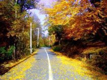 جاذبه های متنوع گردشگری شهر رامیان