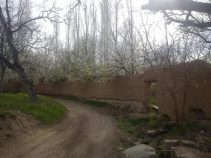 جاذبه های گردشگری دانسفهان