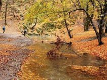 جاذبه های گردشگری شهرستان مراوه