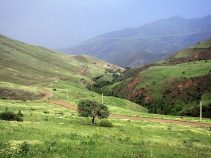 جاذبه های گردشگری صایین قلعه