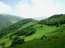 جاذبه های گردشگری و دیدنی خرامه