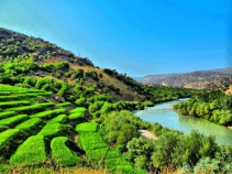 جاذبه های گردشگری و دیدنی ناغان