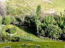 جاذبه های گردشگری و دیدنی هماشهر