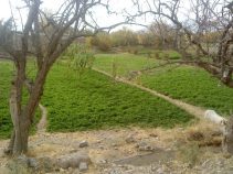 جاذبه های گردشگری گزیک، دیدنی های گزیک