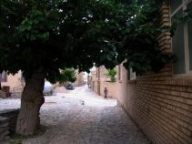 جاهای دیدنی بیارجمند، بیارجمند با جاذبه های طبیعی فراوان