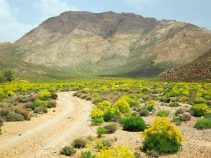 جاهای دیدنی صفاشهر،صفاشهر بلندترین شهرستان فارس