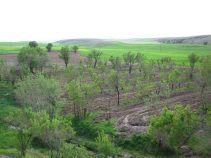 جاهای دیدنی قهاوند
