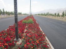 حسامی