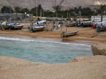 سوزا