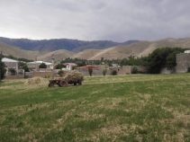 سیردان – منطقه سرسبز طارم سفلی