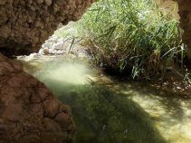 شهر زیبای توریستی و گردشگری فامنین