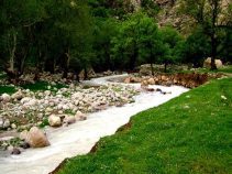 طبیعت بکر و زیبای باغ ملک،جاذبه های گردشگری باغ ملک