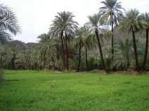 طبیعت زیبای سرباز، شهر گردشگری سیستان وبلوچستان