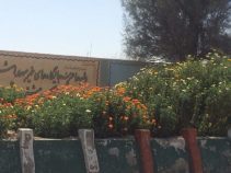 معردوست محمد