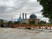 معرفی شهر بیرم، شهر امامزادگان
