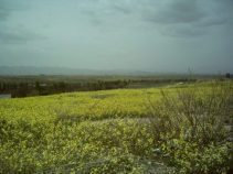 معرفی شهر زرین آباد