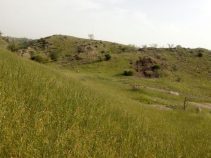معرفی شهر سندرک و جاذبهه