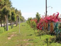 معرفی شهر صفی آباد