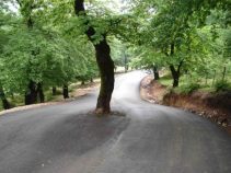 معرفی شهر نوده خاندوز (شهر گل نرگس)