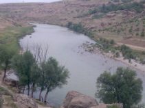 معرفی شهر کاج
