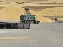 معرفی شهر گل تپه، استان همدان