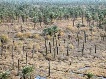 معرفی مینوشهر یکی از شهرهای تابع خرمشهر