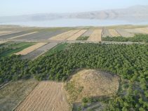 کوهنجان