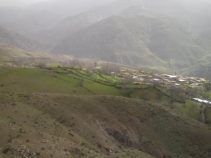 کوهین