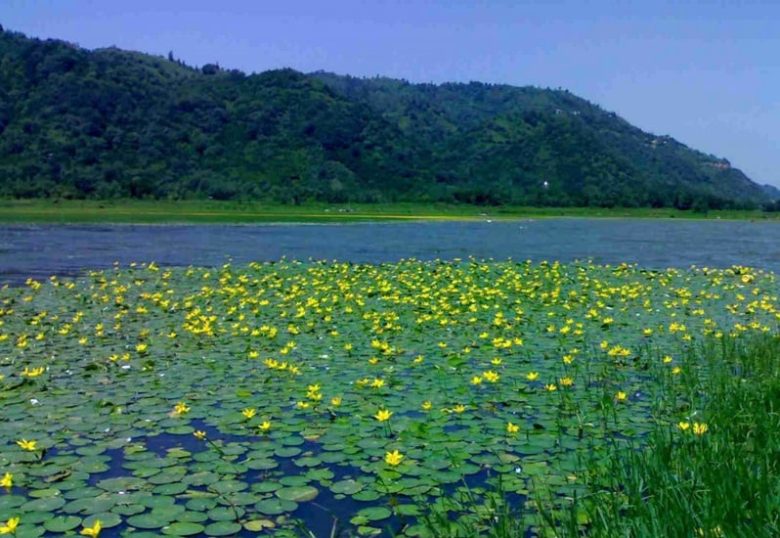 جاذبه گردشگری دریاچه کومله