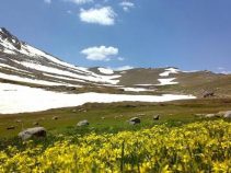تخت نادر ، یکی از دشت‌های کوهستان الوند