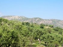 جاذبه زیبای روستای گزدون در پاتاوه