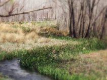 جاذبه زیبای سراب ماران