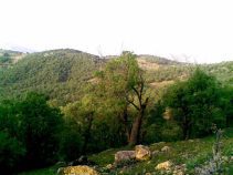 جاذبه طبیعی دره المون یاسوج