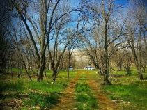 جاذبه طبیعی پارک کوهستان یاسوج