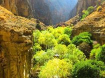 جاذبه های شهر باجگیران