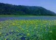 جاذبه گردشگری دریاچه کومله