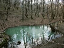 جاذبه گردشگری چشمه لال