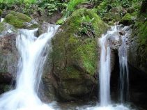جاذبه گردشگری چشمه نیلبرگ
