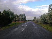 دیزج دیز