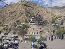 روستای زردویی